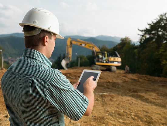 tree-inspections-and-surveys tree surveys and inspections