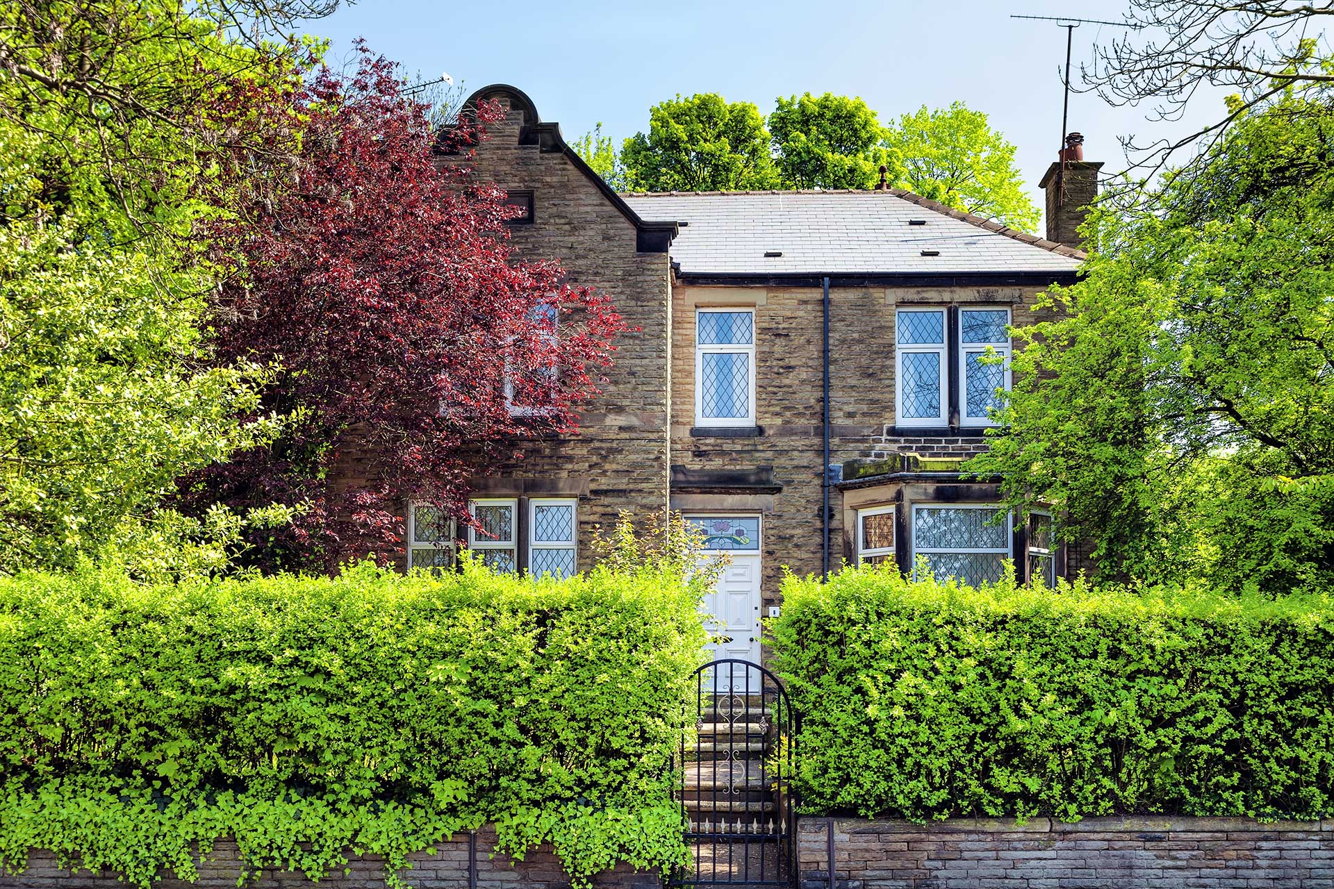 trees-and-house for mortgage tree report blog Trees in close proximity to a property can sometimes pose risks.
