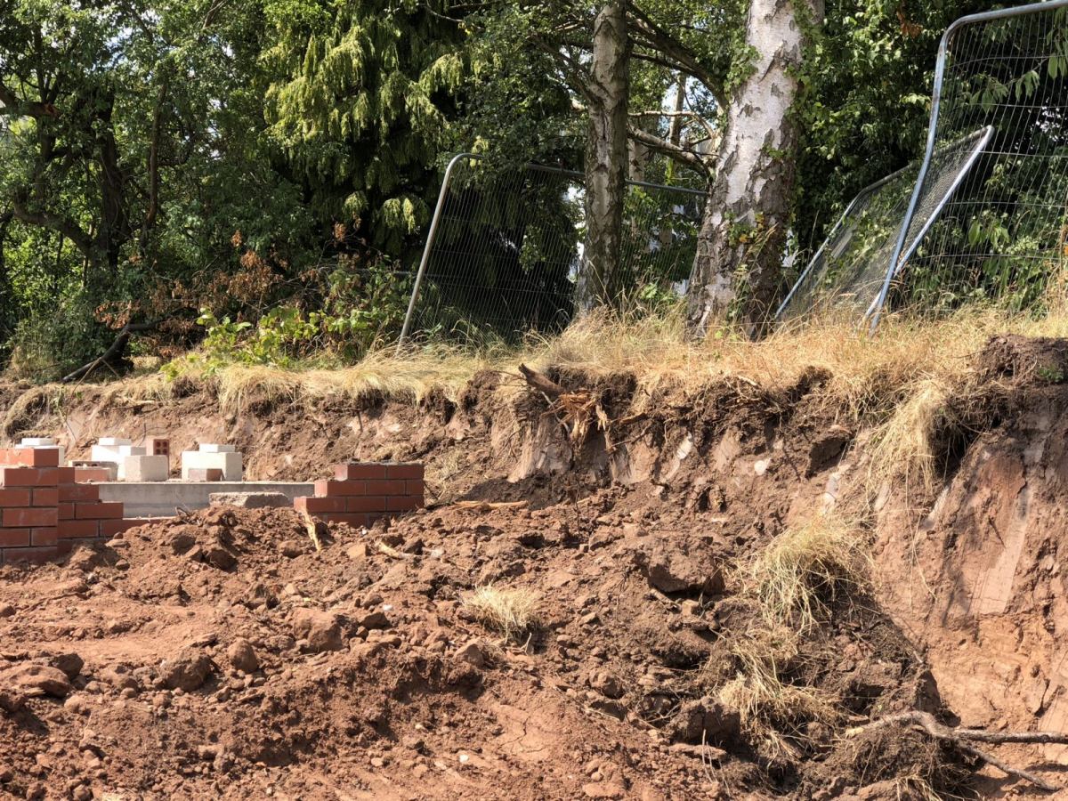 Trees on development sites when tree protection is neglected.