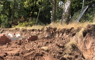 trees on development sites: removal of major roots