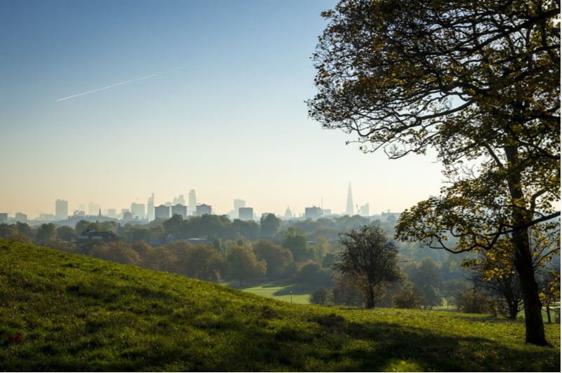 Trees with backdrop of London city