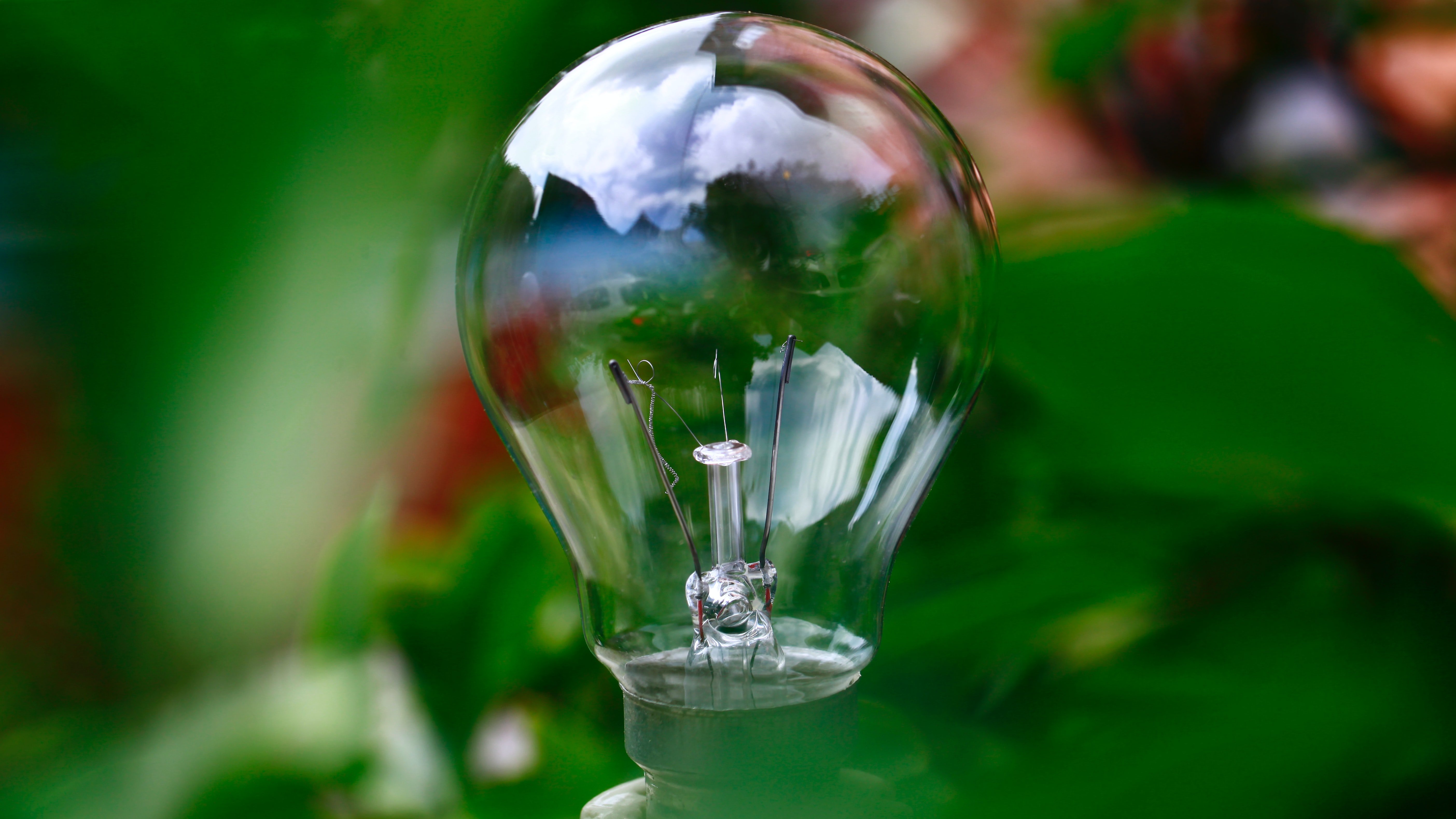 lightbulb representing ideas for greener living