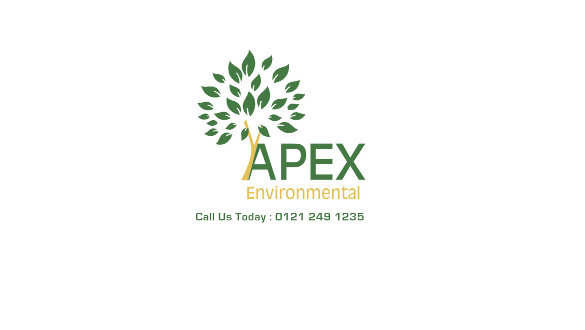 Apex Environmental Services