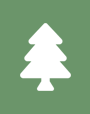 tree icon